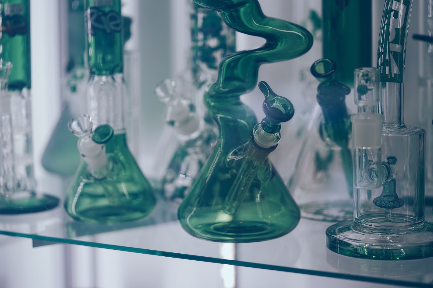 Various bongs displayed in a smoke shop.